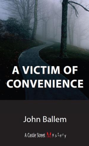 Cover of the book Victim of Convenience by Danielle Singleton