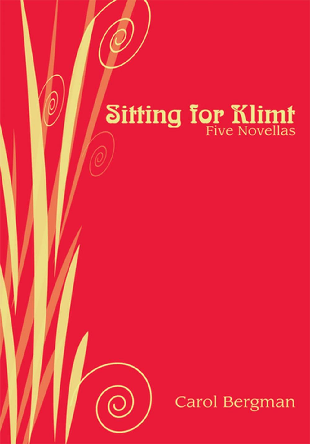 Big bigCover of Sitting for Klimt