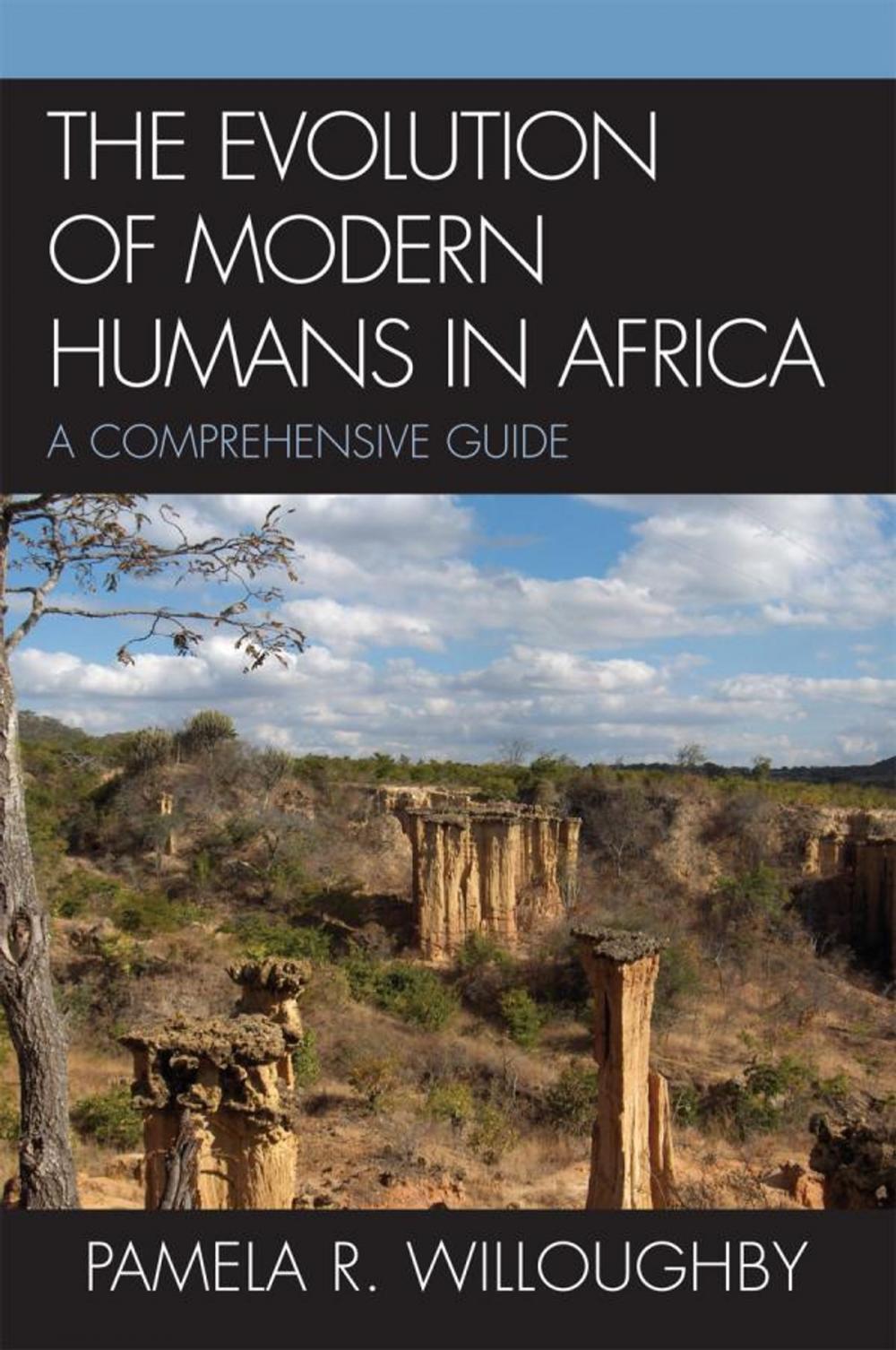 Big bigCover of The Evolution of Modern Humans in Africa