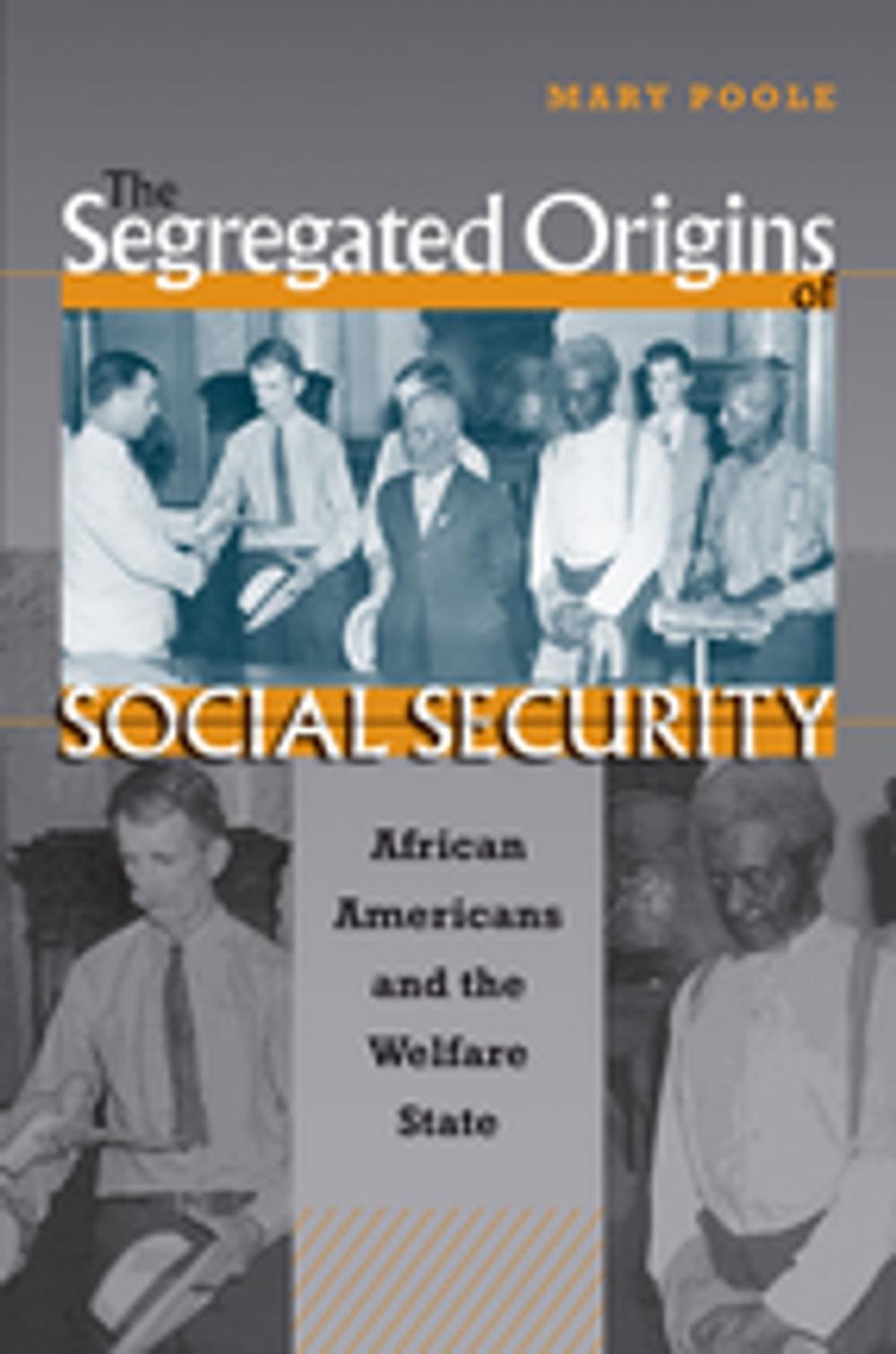 Big bigCover of The Segregated Origins of Social Security