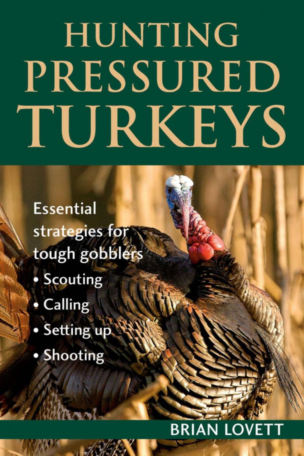 Big bigCover of Hunting Pressured Turkeys