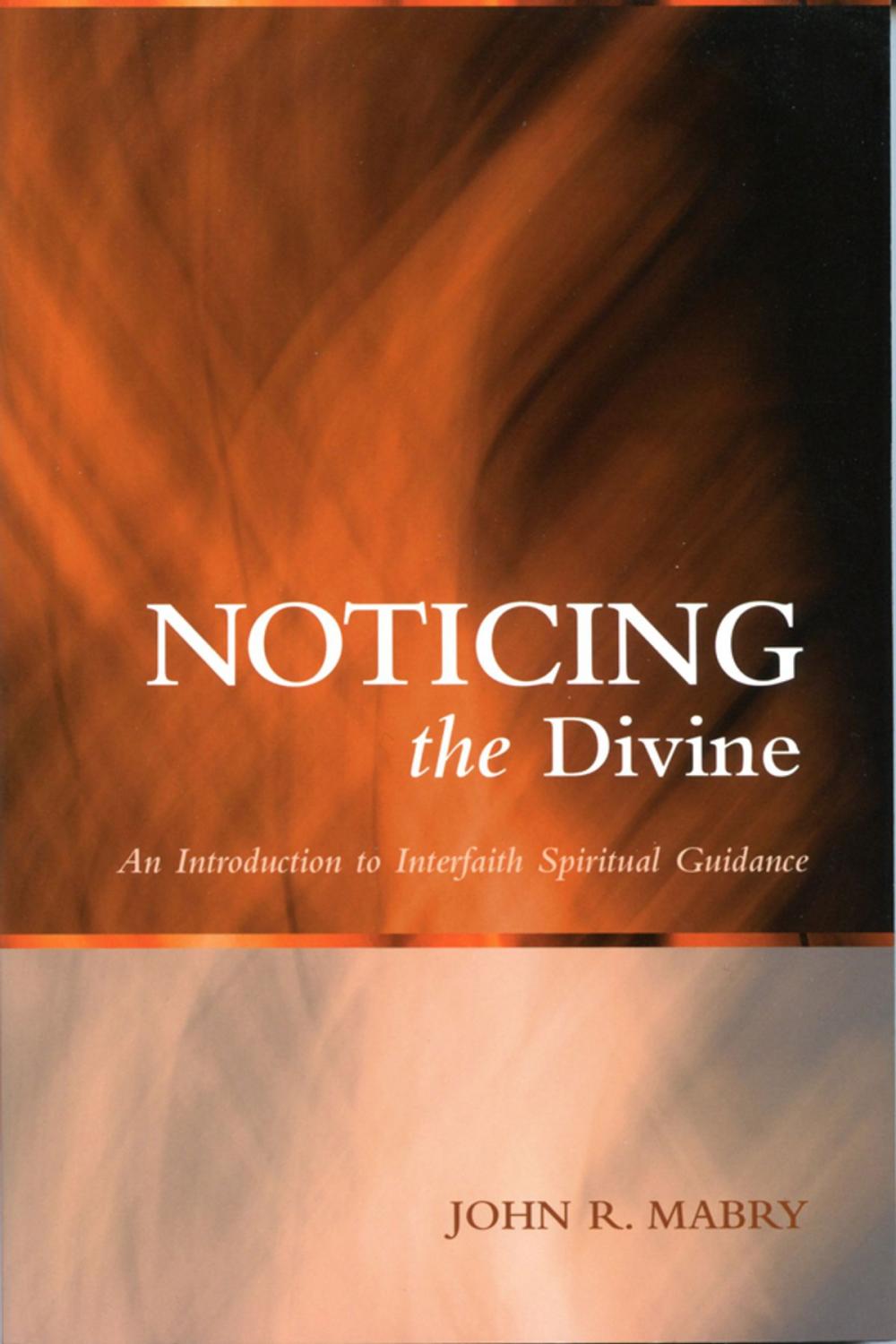 Big bigCover of Noticing the Divine