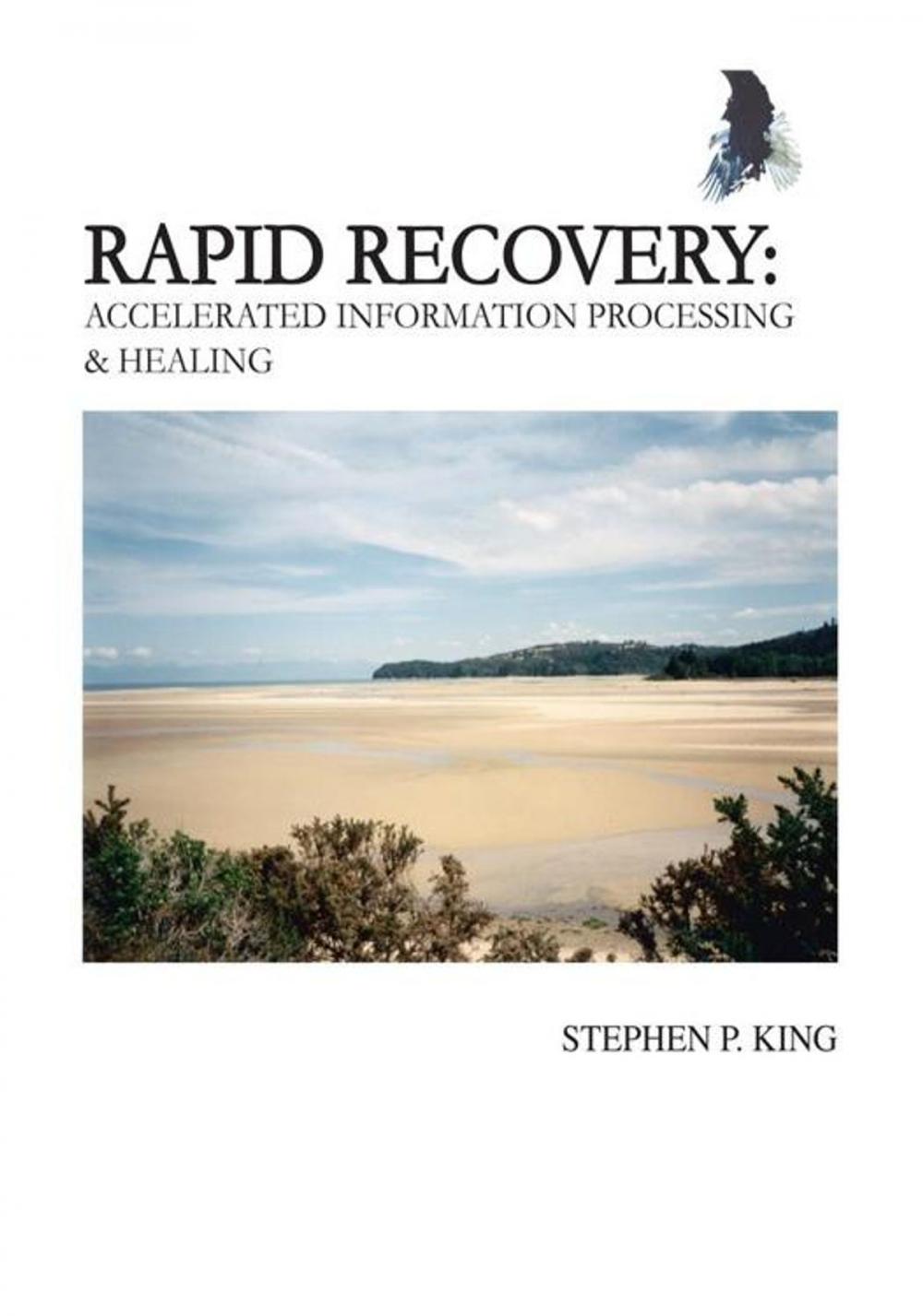 Big bigCover of Rapid Recovery