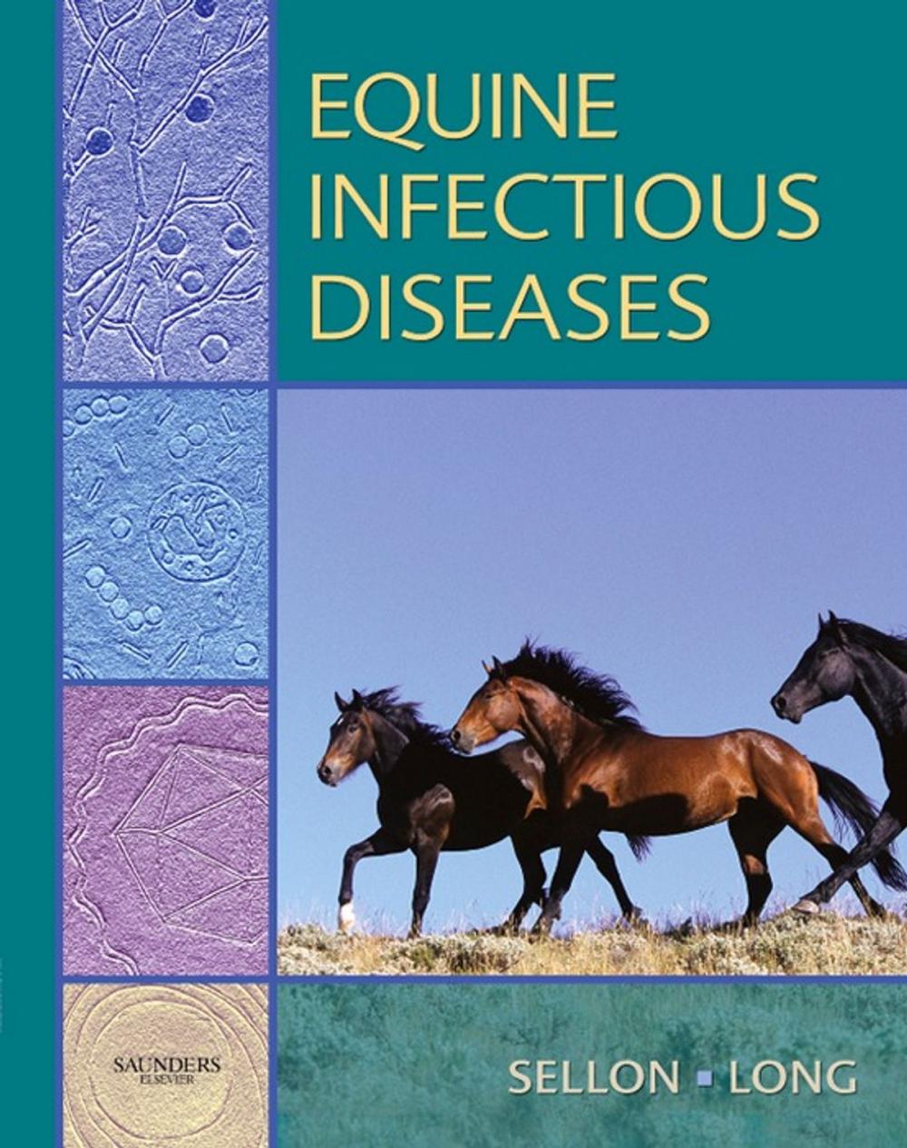 Big bigCover of Equine Infectious Diseases E-Book