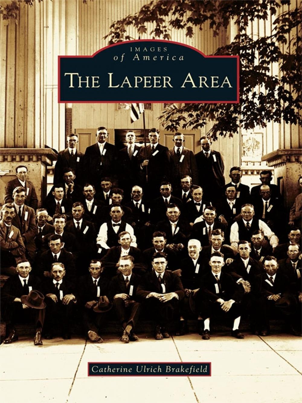 Big bigCover of The Lapeer Area