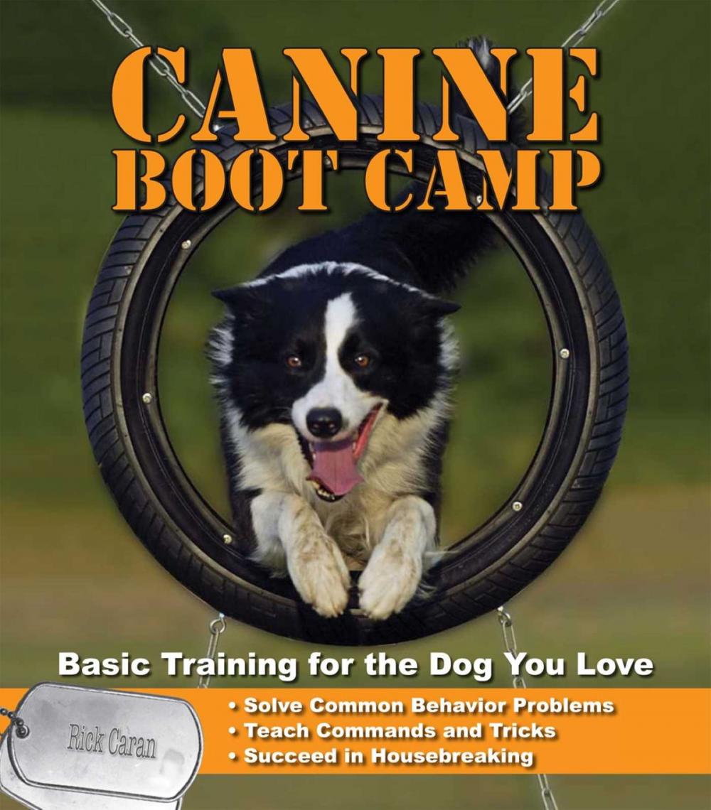 Big bigCover of Canine Bootcamp