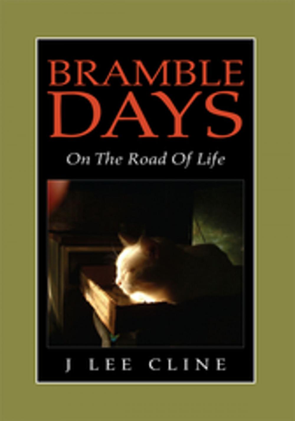 Big bigCover of Bramble Days - on the Road of Life