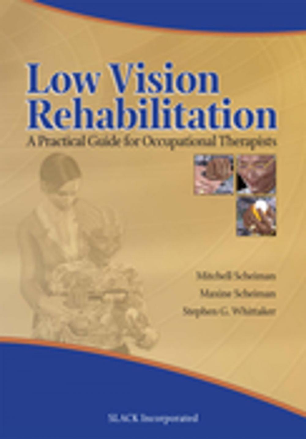 Big bigCover of Low Vision Rehabilitation