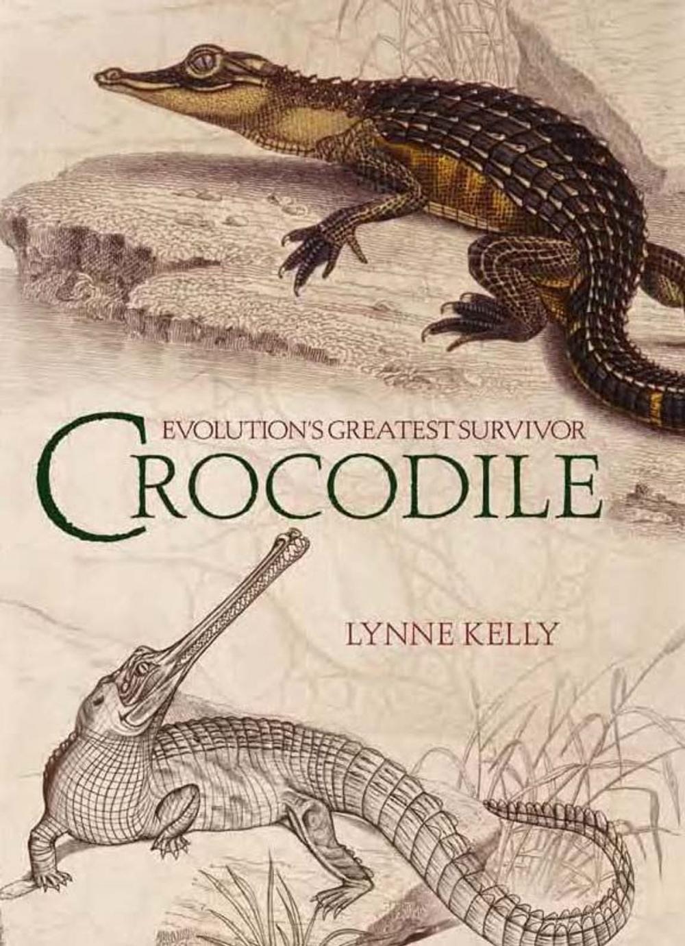 Big bigCover of Crocodile