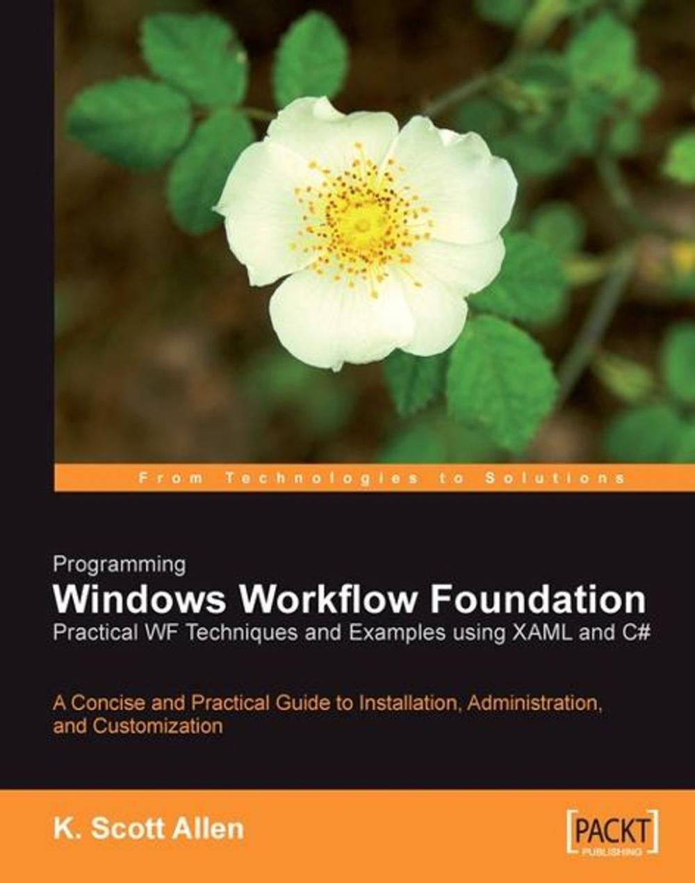 Big bigCover of Programming Windows Workflow Foundation: Practical WF Techniques and Examples using XAML and C#