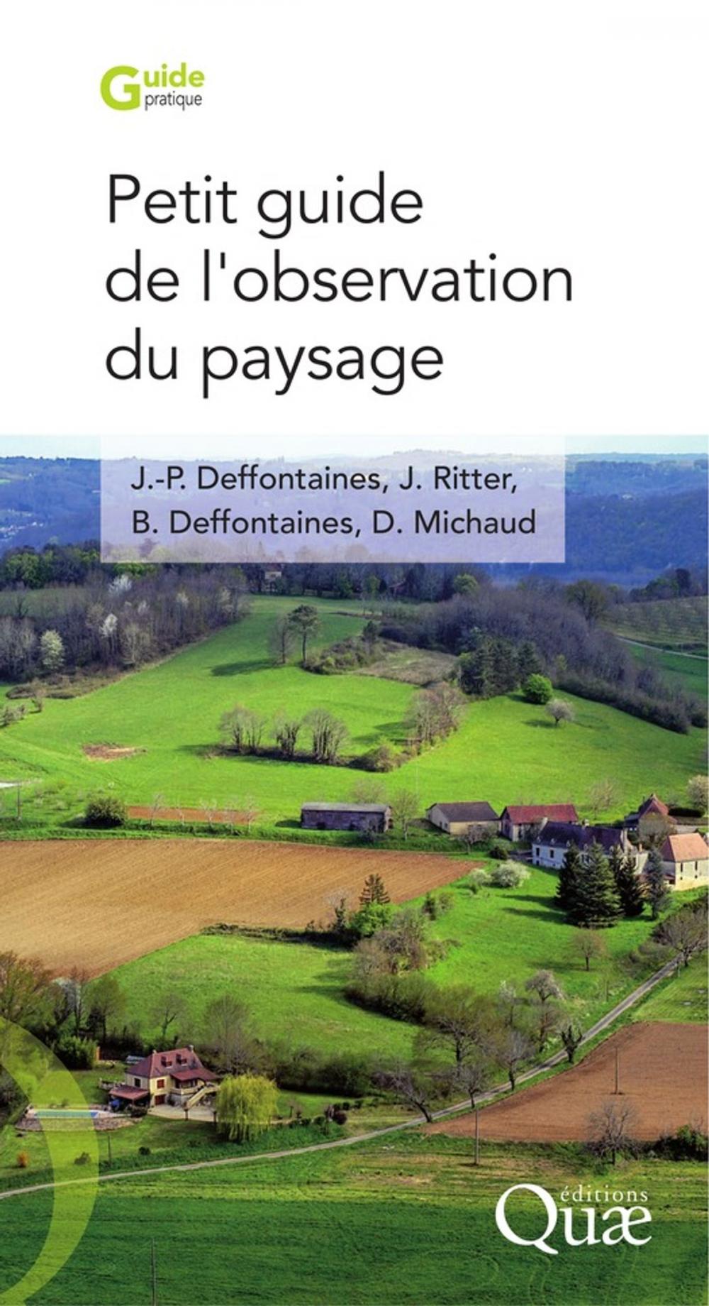 Big bigCover of Petit guide de l'observation du paysage