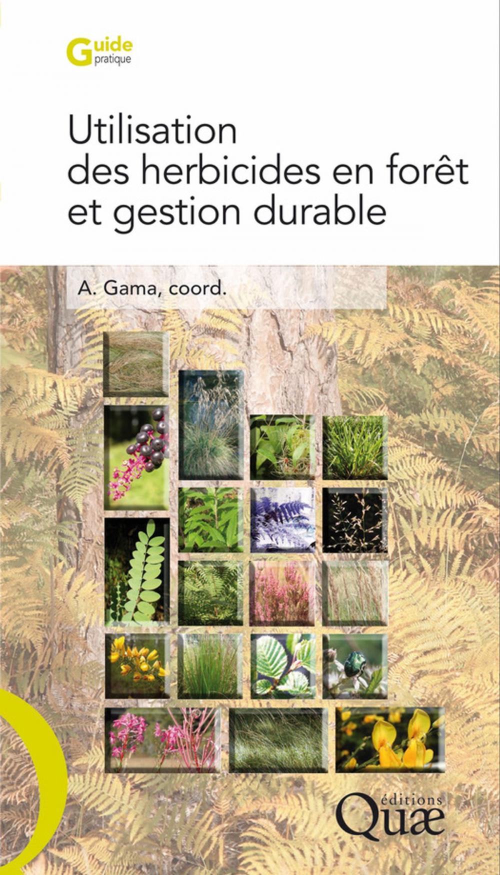 Big bigCover of Utilisation des herbicides en forêt et gestion durable