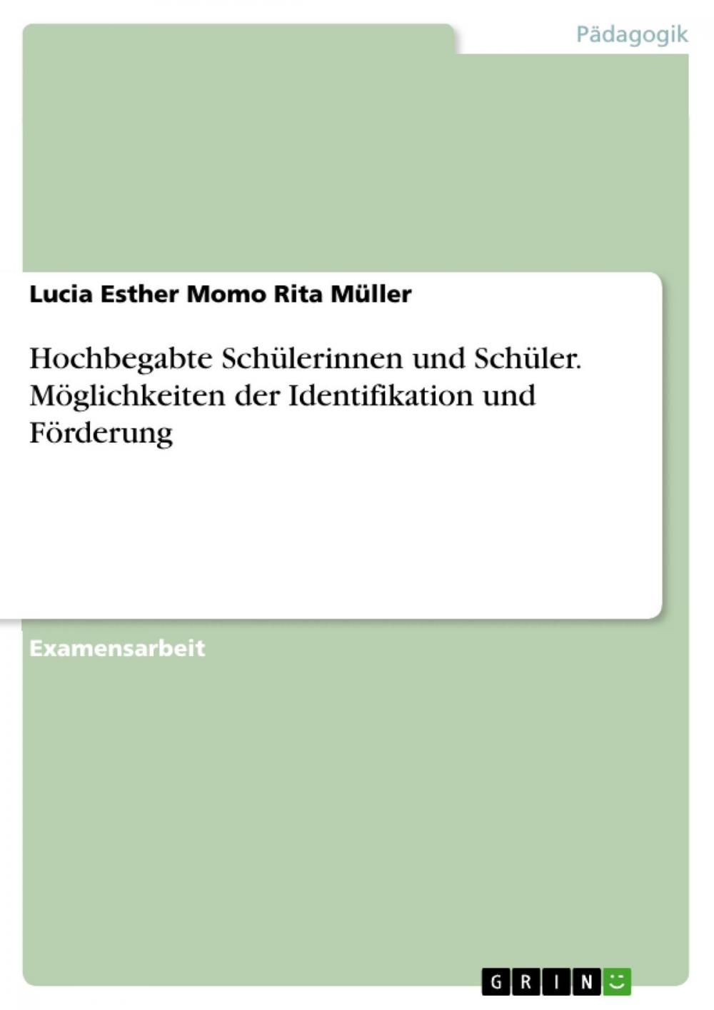 Big bigCover of Hochbegabte Schülerinnen und Schüler. Möglichkeiten der Identifikation und Förderung