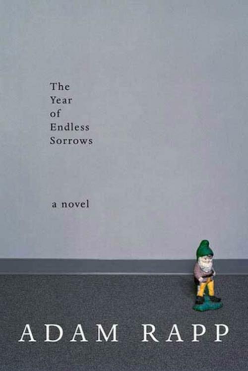 Cover of the book The Year of Endless Sorrows by Adam Rapp, Farrar, Straus and Giroux