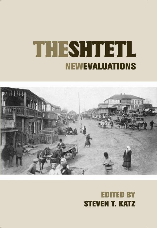 Cover of the book The Shtetl by , NYU Press