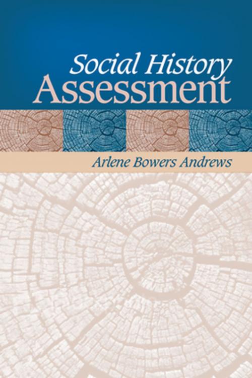 Cover of the book Social History Assessment by Arlene B. Andrews, SAGE Publications