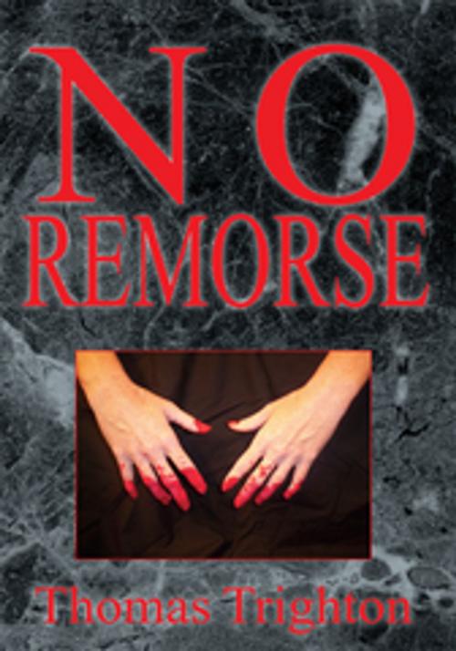 Cover of the book No Remorse by Thomas Trighton, Xlibris US