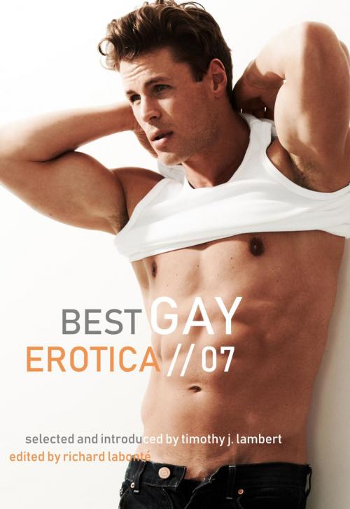 Cover of the book Best Gay Erotica 2007 by Richard Labonte, Cleis Press