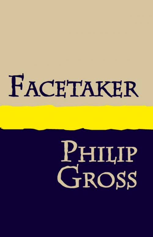 Cover of the book Facetaker by Philip Gross, Summersdale Publishers Ltd