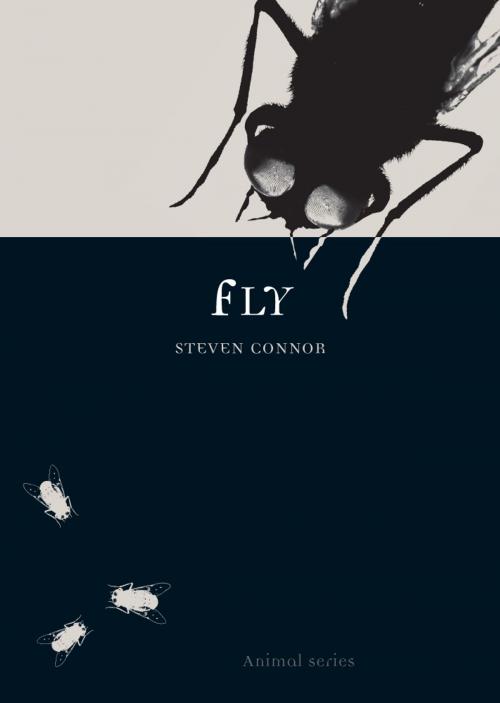 Cover of the book Fly by Steven Connor, Reaktion Books