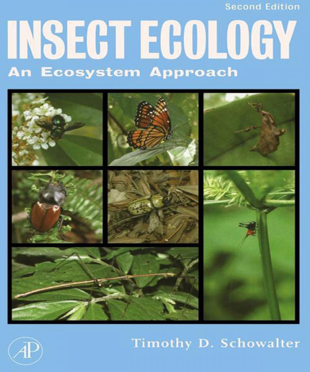 Big bigCover of Insect Ecology