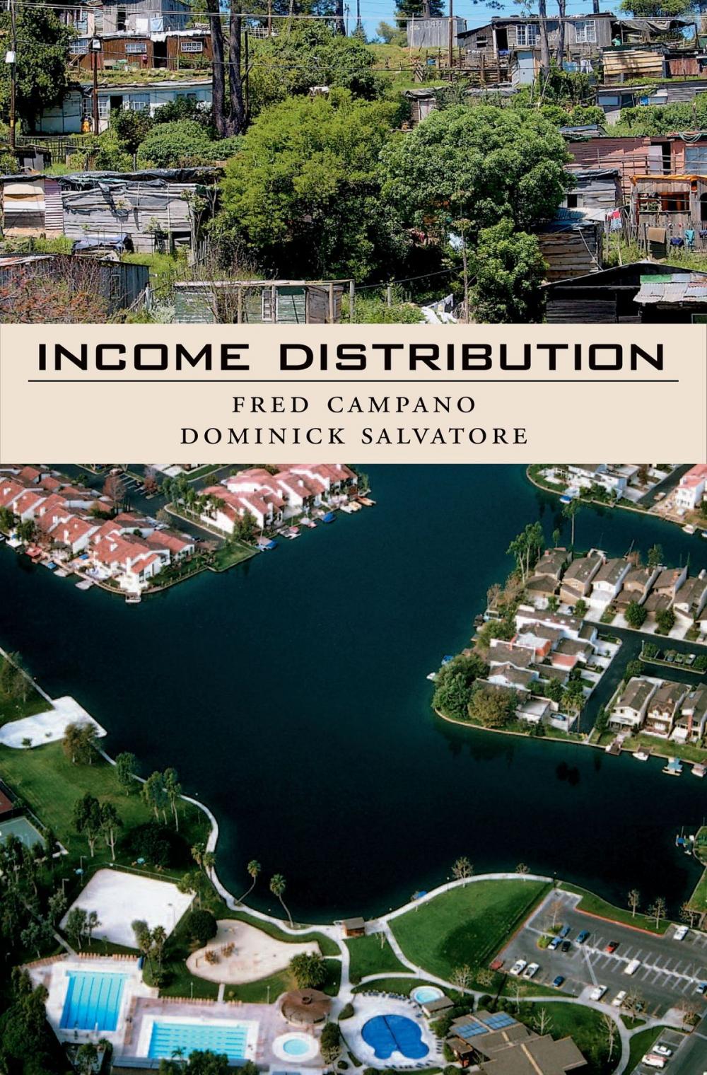 Big bigCover of Income Distribution