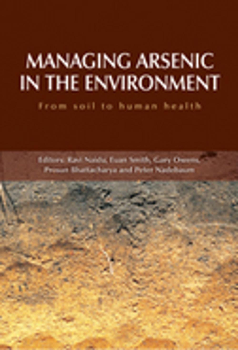 Big bigCover of Managing Arsenic in the Environment