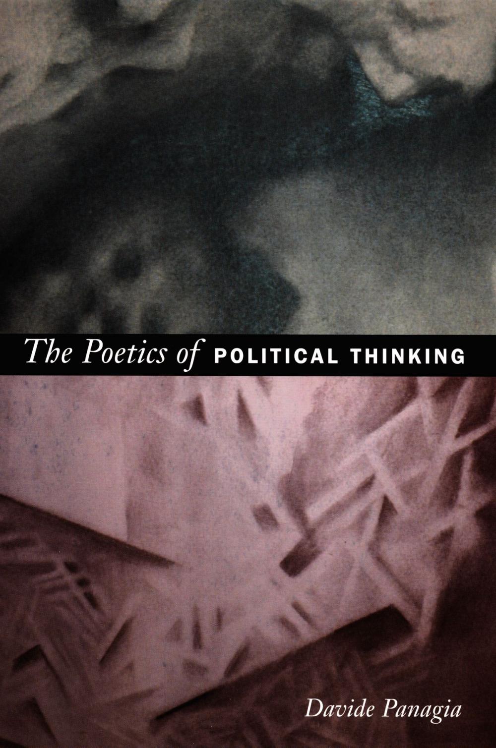 Big bigCover of The Poetics of Political Thinking