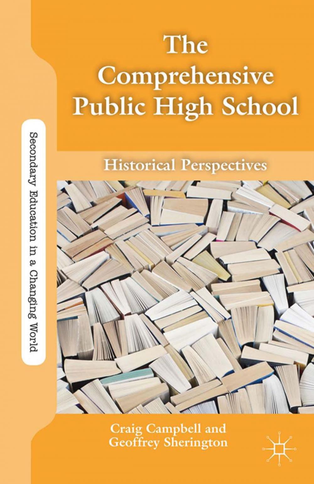 Big bigCover of The Comprehensive Public High School