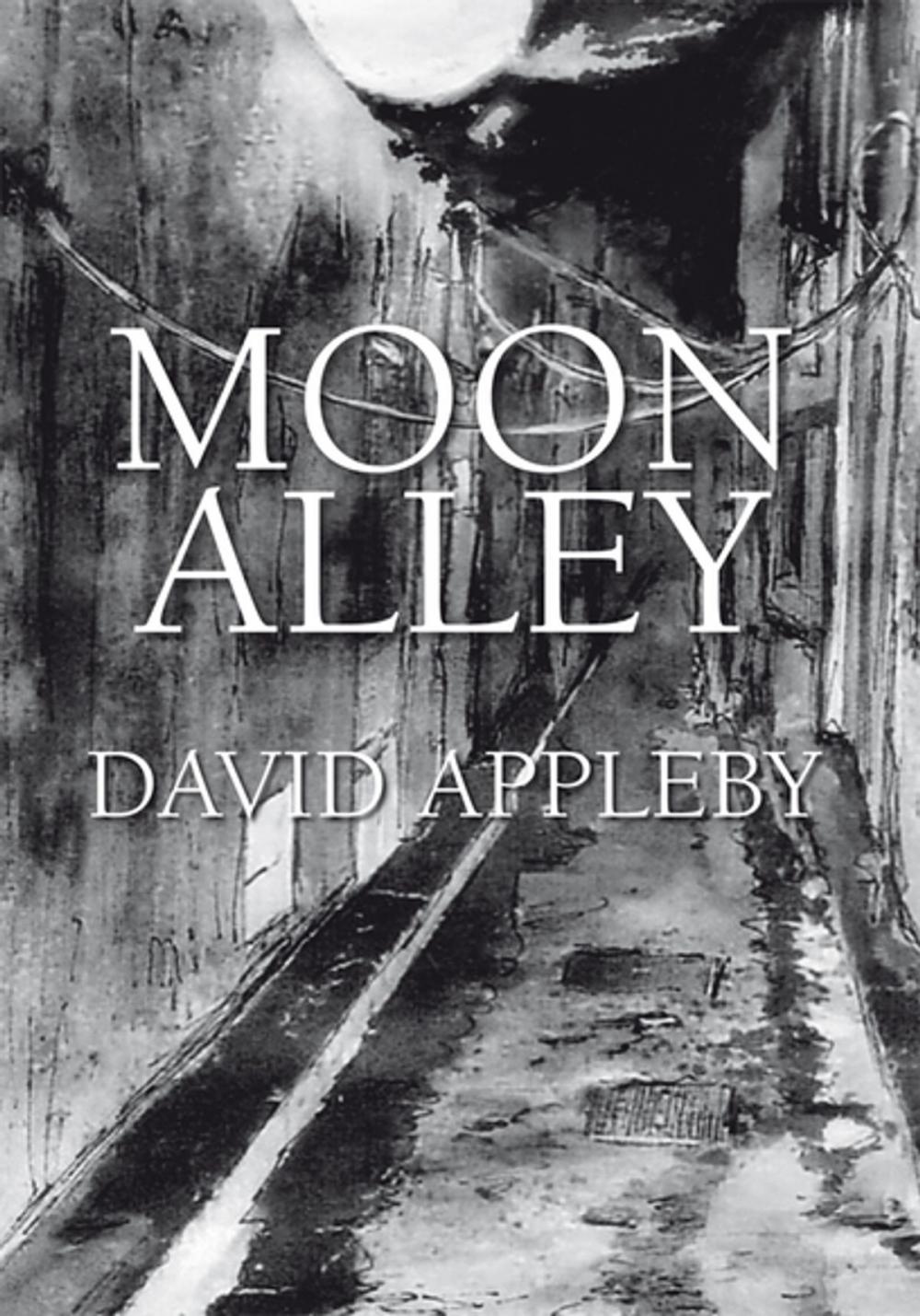 Big bigCover of Moon Alley