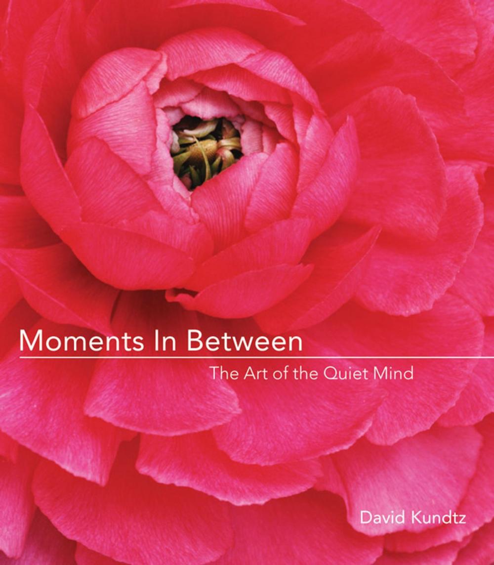 Big bigCover of Moments in Between: The Art of the Quiet Mind