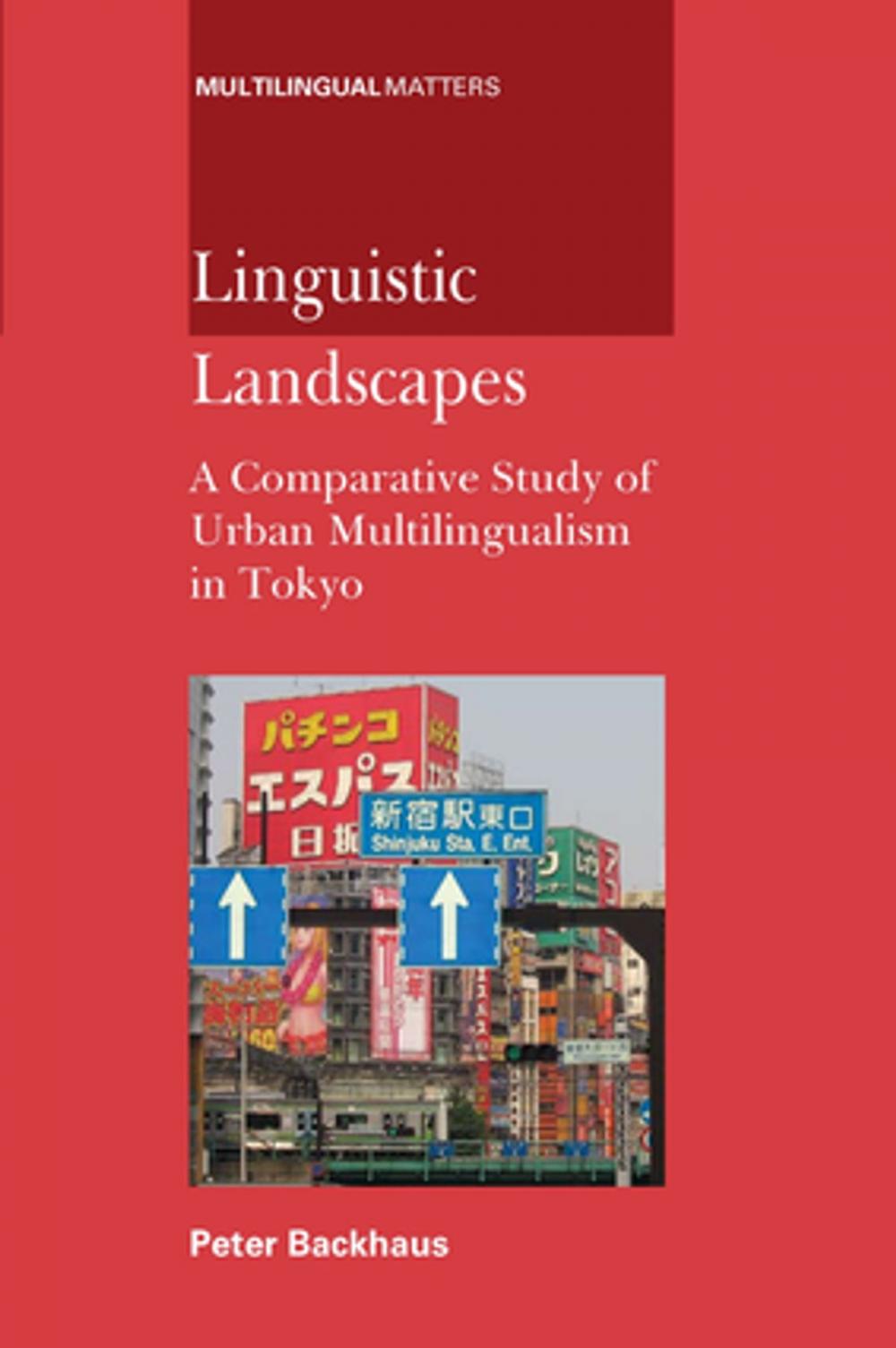 Big bigCover of Linguistic Landscapes