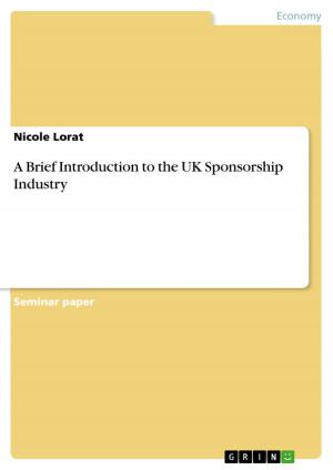 Cover of the book A Brief Introduction to the UK Sponsorship Industry by Theophile Masy Divangamene