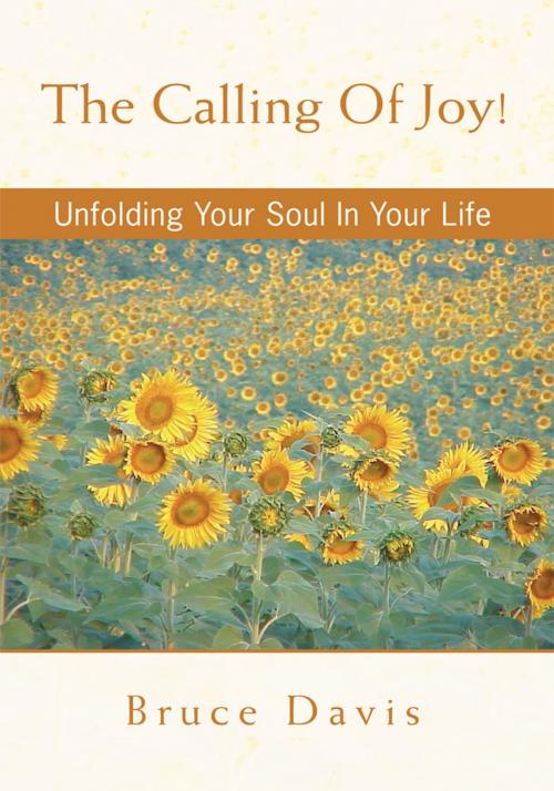 Cover of the book The Calling of Joy! by Bruce Davis, iUniverse