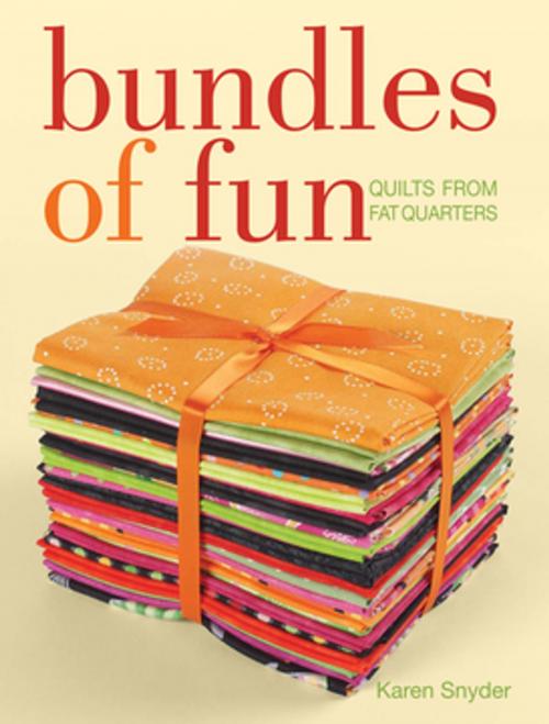 Cover of the book Bundles of Fun by Karen Snyder, F+W Media