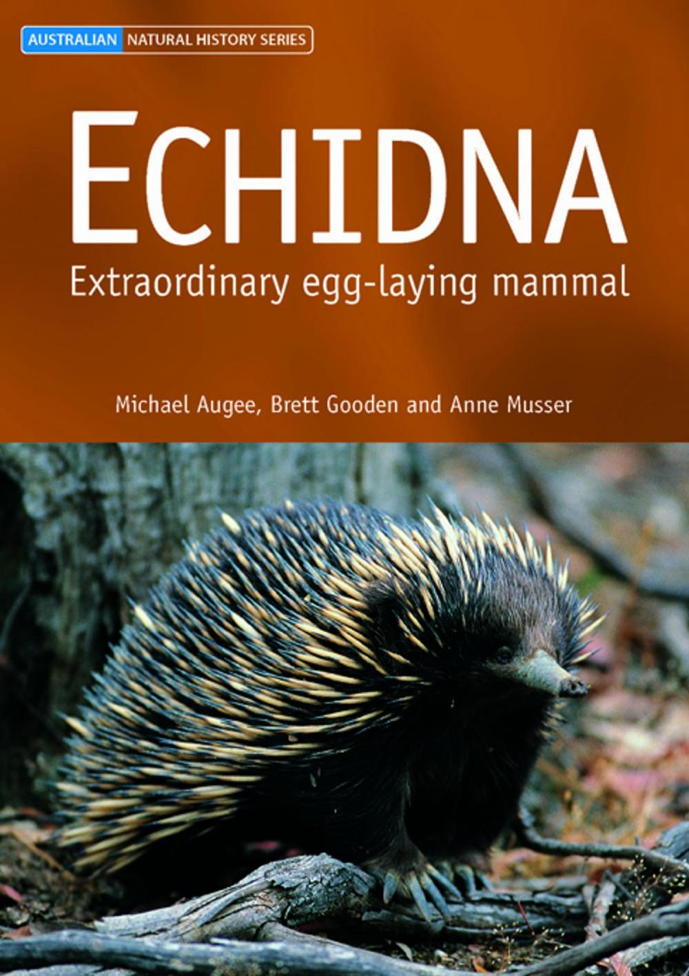 Big bigCover of Echidna