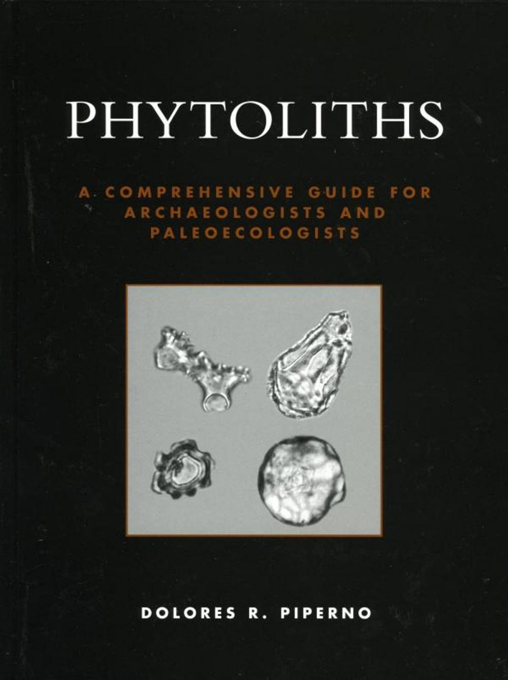 Big bigCover of Phytoliths