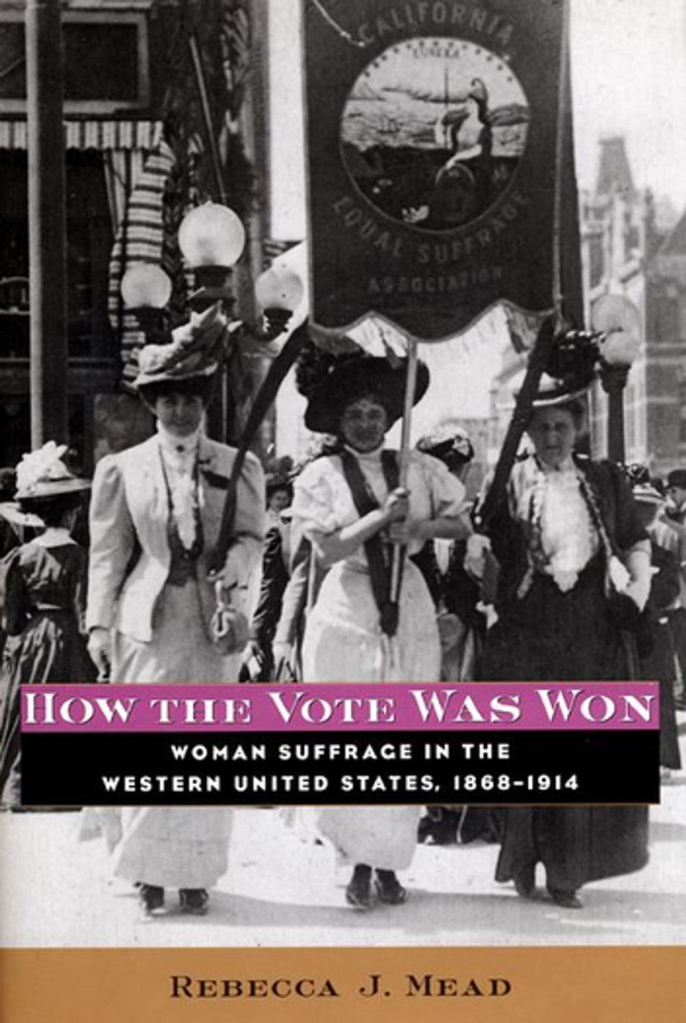 Big bigCover of How the Vote Was Won