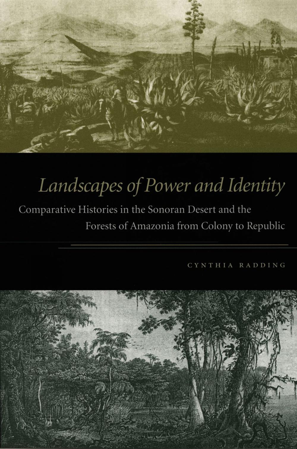 Big bigCover of Landscapes of Power and Identity