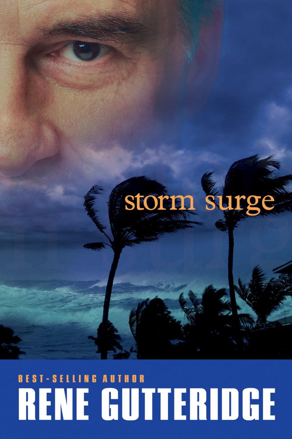 Big bigCover of Storm Surge