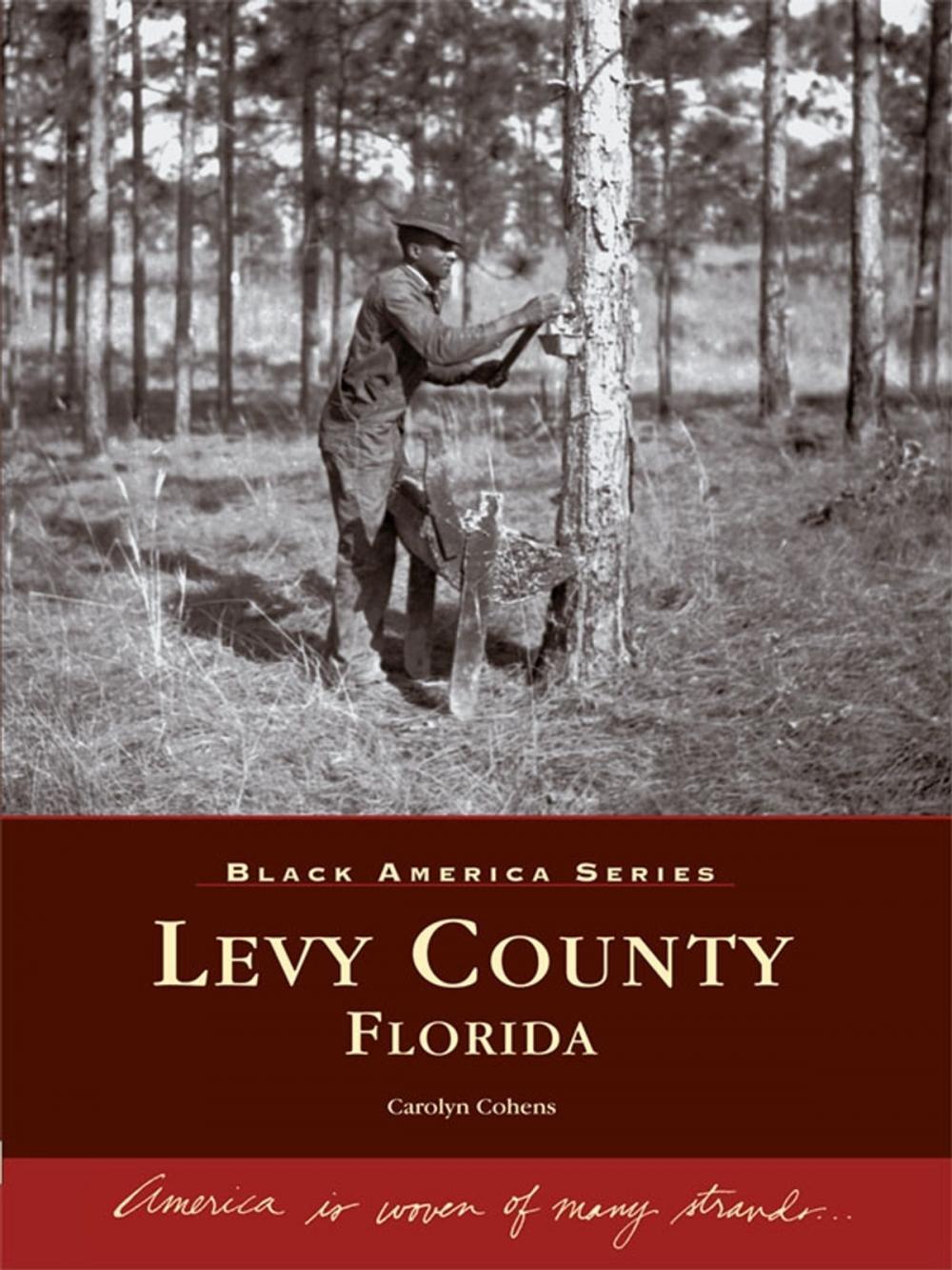 Big bigCover of Levy County, Florida