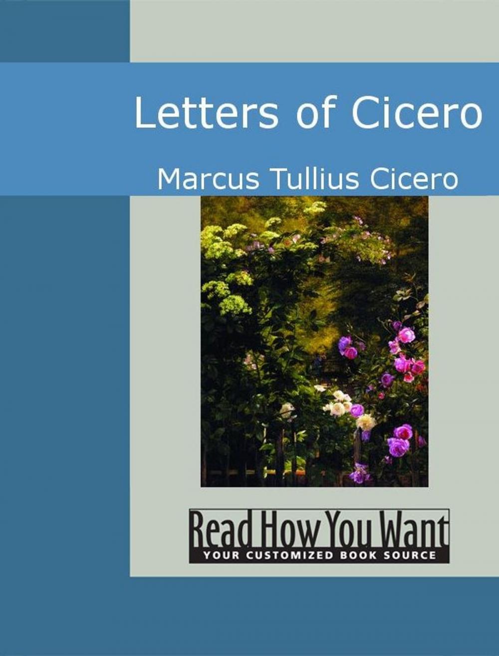 Big bigCover of Letters Of Cicero