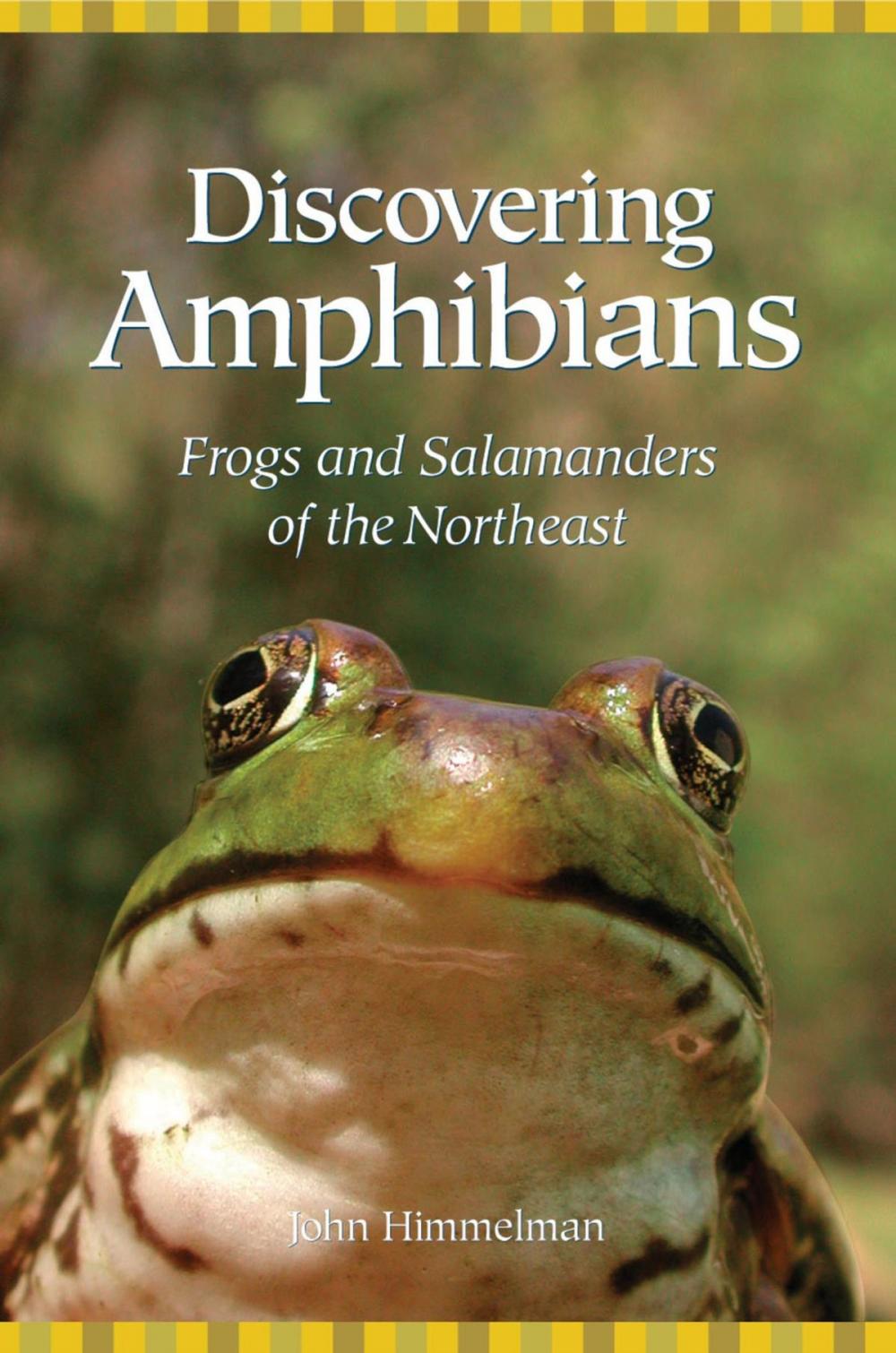 Big bigCover of Discovering Amphibians