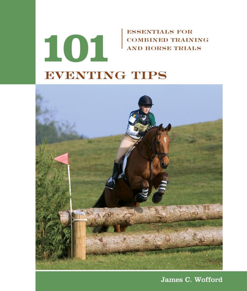 Big bigCover of 101 Eventing Tips