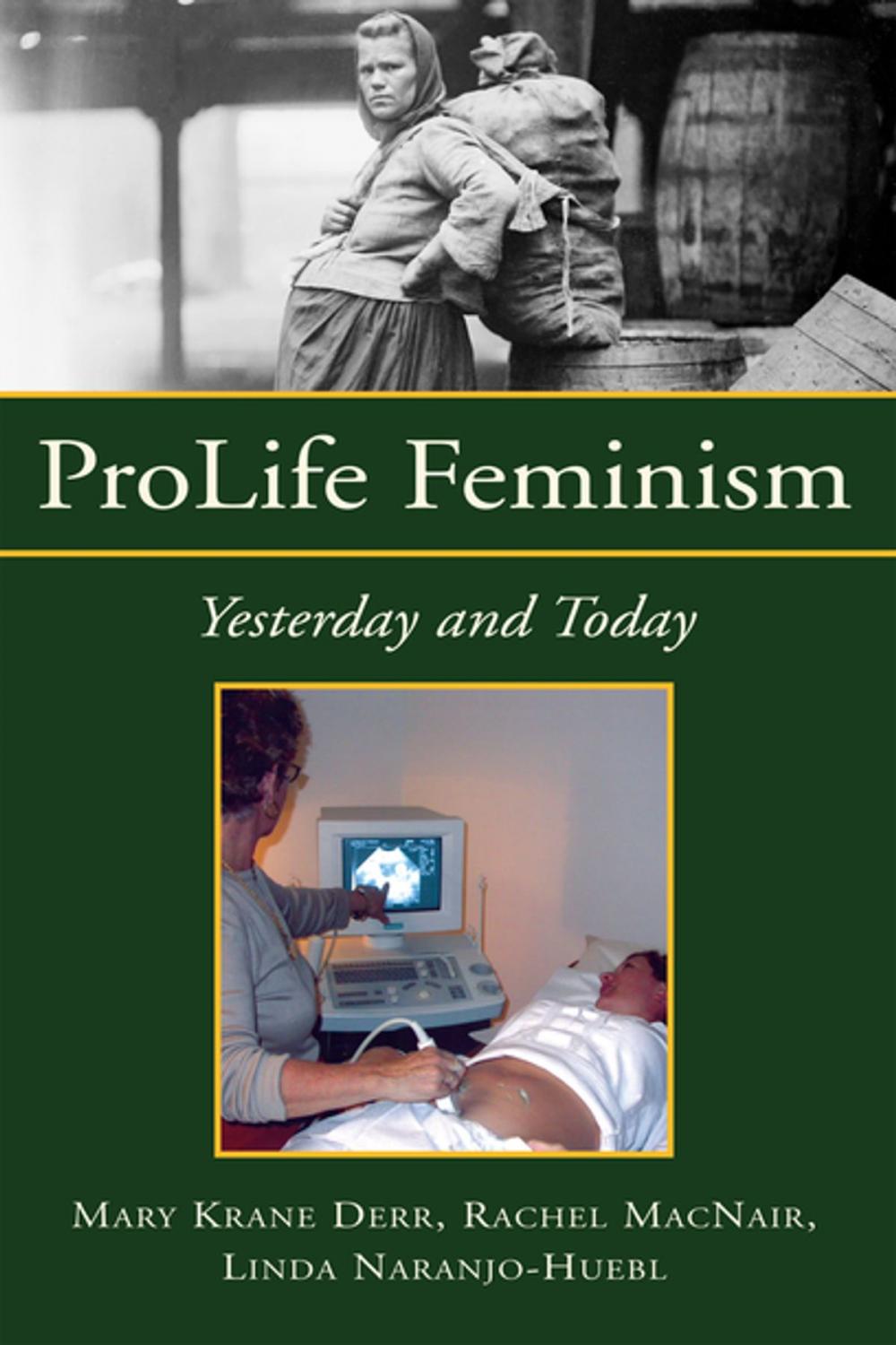 Big bigCover of Prolife Feminism