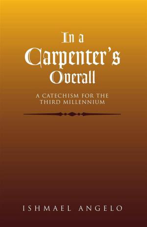 Cover of the book In a Carpenter's Overall by Daniel J. Cabot
