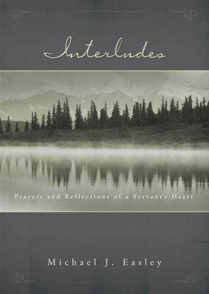 Cover of the book Interludes by Rebecca Livermore