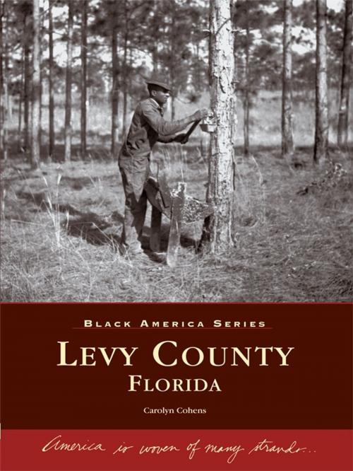 Cover of the book Levy County, Florida by Carolyn Cohens, Arcadia Publishing Inc.