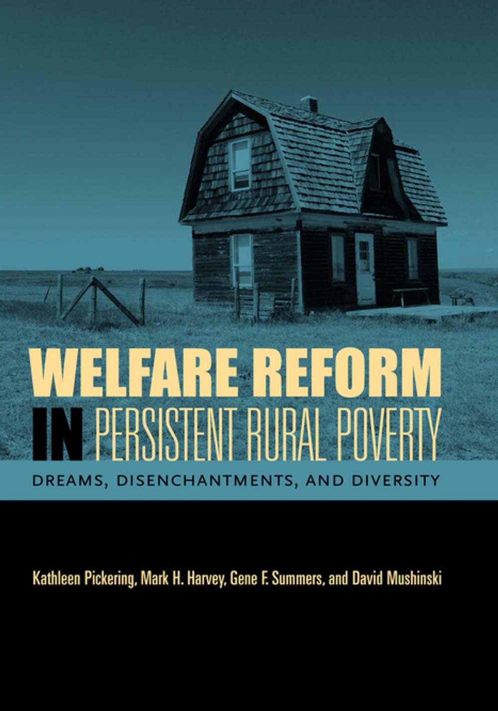 Big bigCover of Welfare Reform in Persistent Rural Poverty