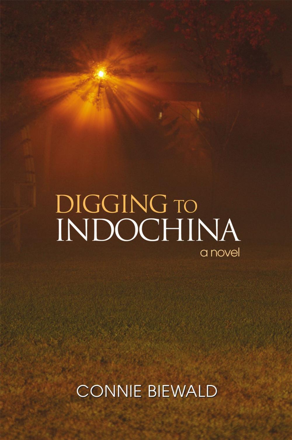 Big bigCover of Digging to Indochina